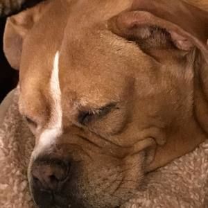 Meet your Posher, Glenna